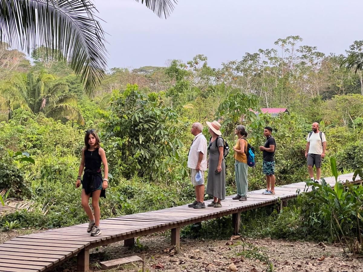 Hacienda Herrera Tambopata プエルト・マルドナード エクステリア 写真