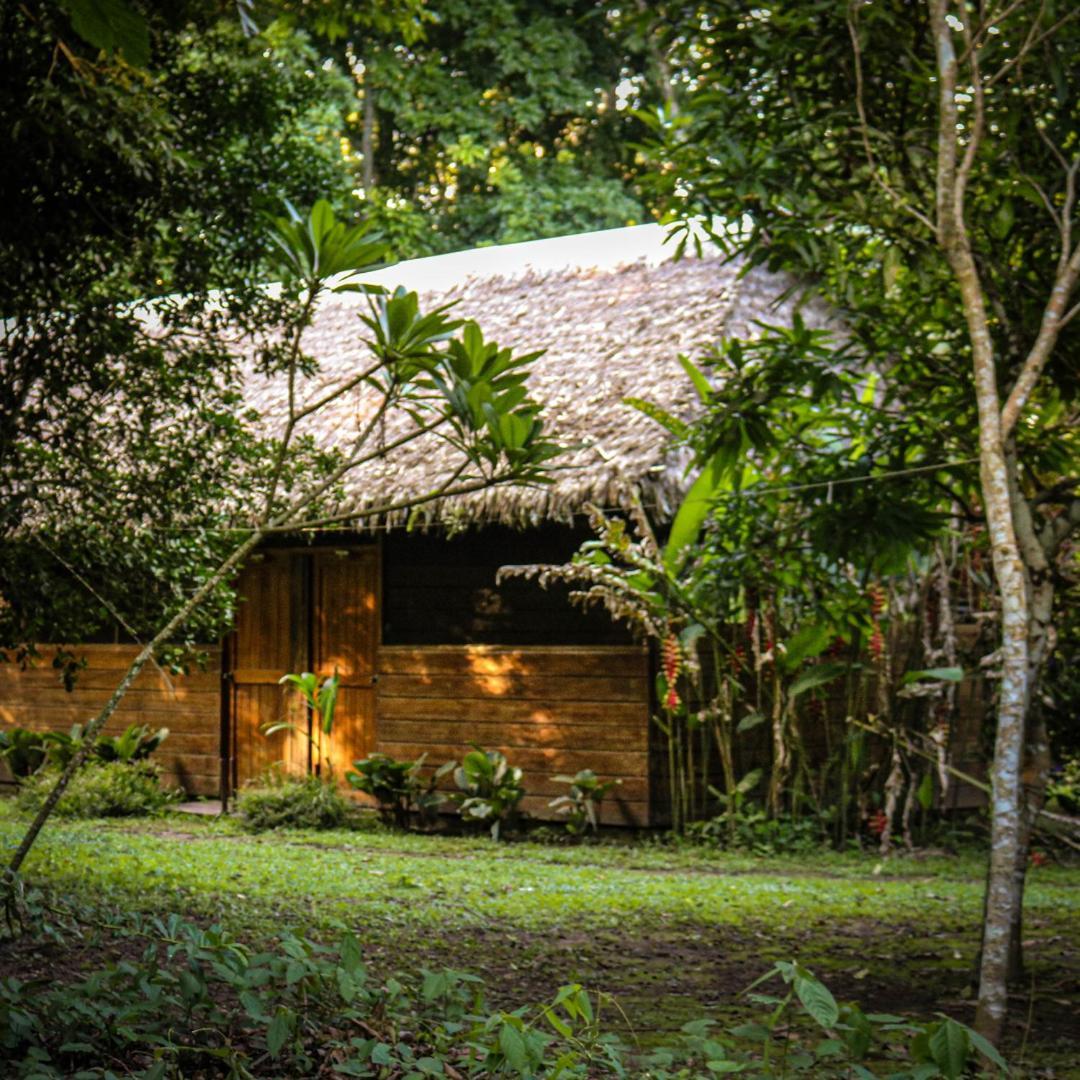 Hacienda Herrera Tambopata プエルト・マルドナード エクステリア 写真