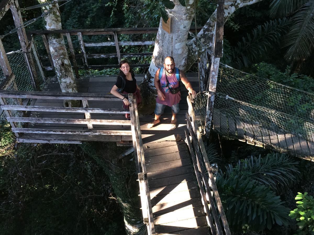 Hacienda Herrera Tambopata プエルト・マルドナード エクステリア 写真