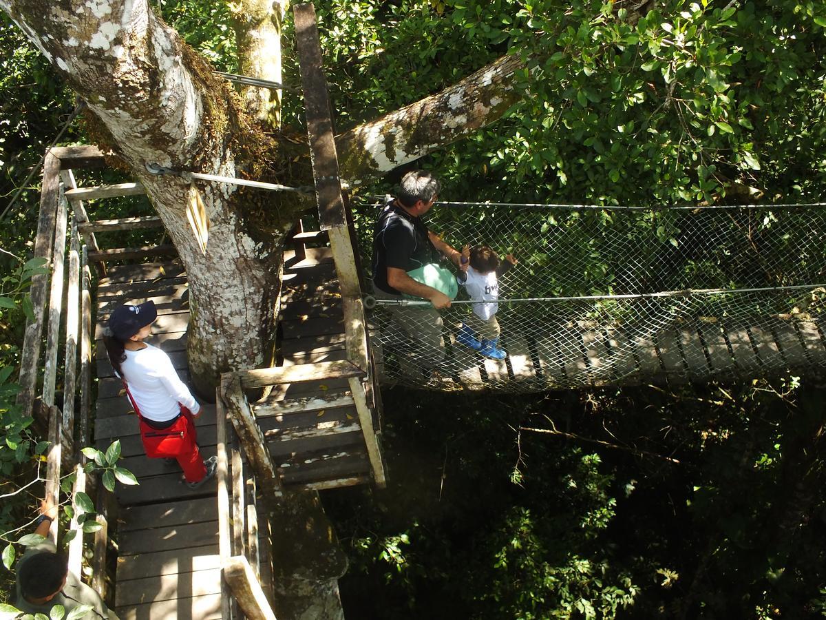 Hacienda Herrera Tambopata プエルト・マルドナード エクステリア 写真