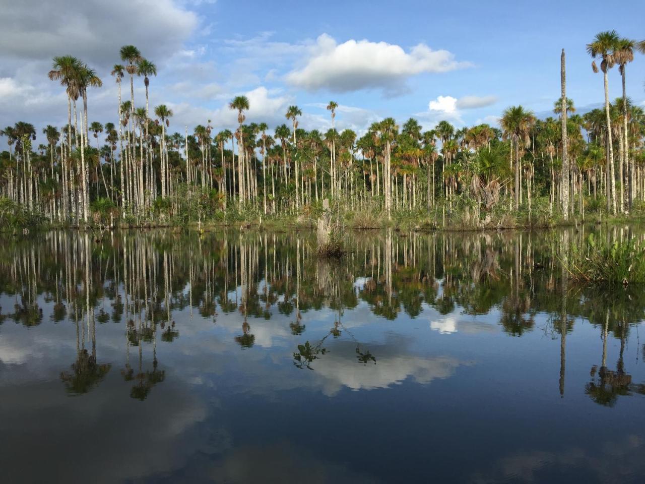 Hacienda Herrera Tambopata プエルト・マルドナード エクステリア 写真